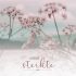 Annelies 