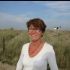 Eveline