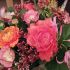 Anneke